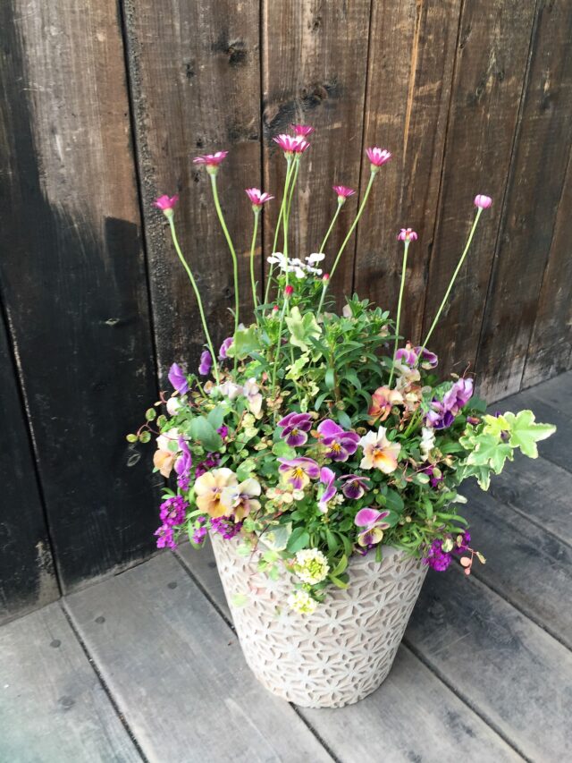 玄関鉢植えギャザリング-フルーレ fleur-é