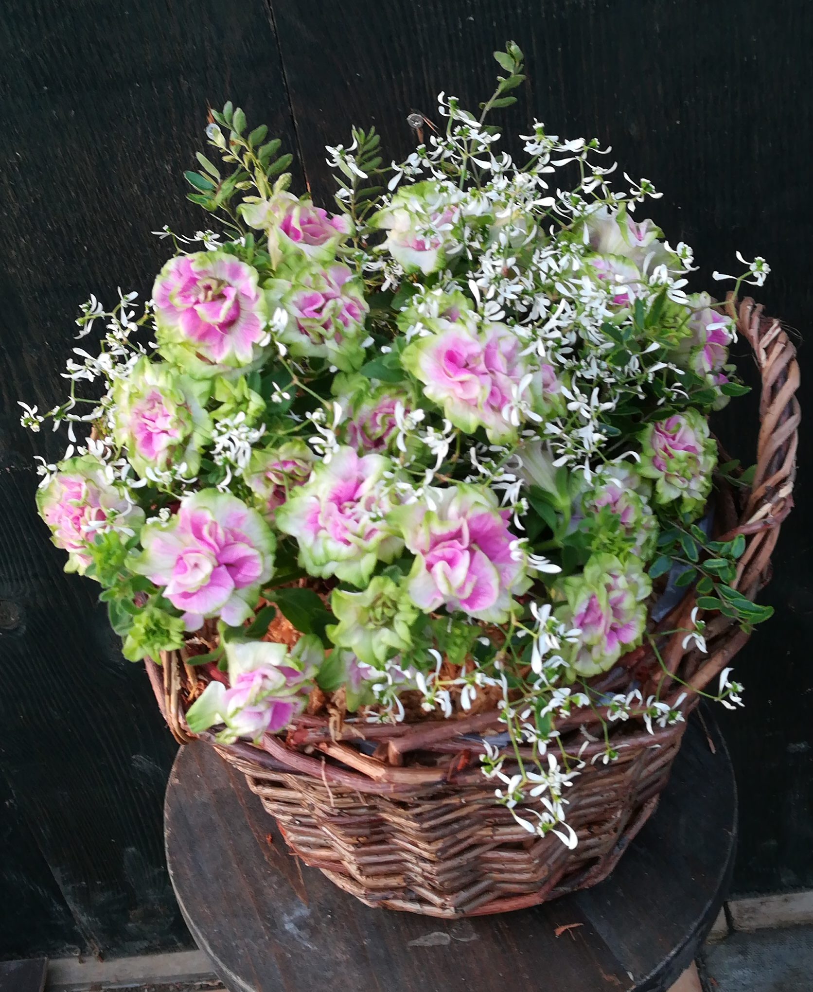 プランツ ギャザリングの 素敵な植え方の秘訣を教えます