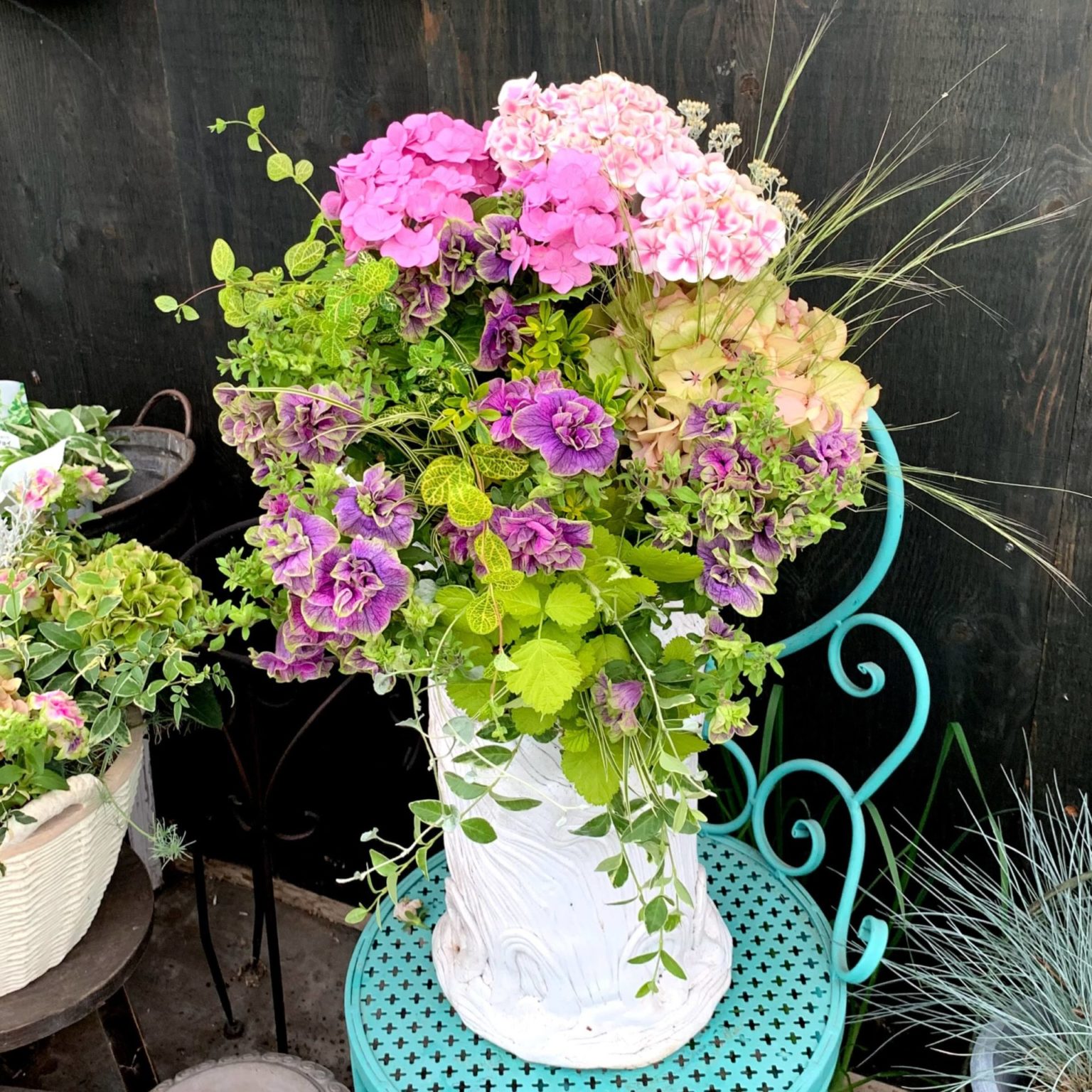 植え方のコツ教えます！ センスのいい寄せ植えを作りましょう♪